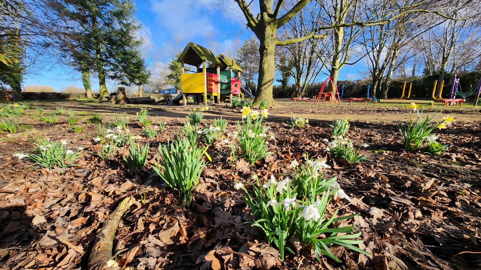 Spring has Sprung, join us for a Free Wellbeing Walk to Celebrate!
