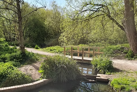 Your invitation to The Friends of Caldy Nature Park Annual General Meeting